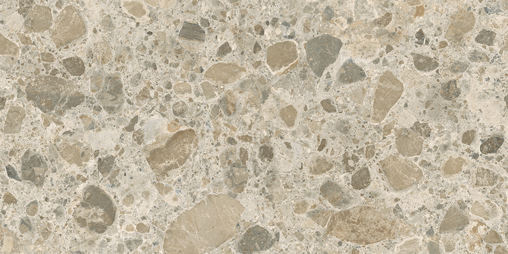 60x120 CityStone Чеппо Мультиколор Матовый R10A