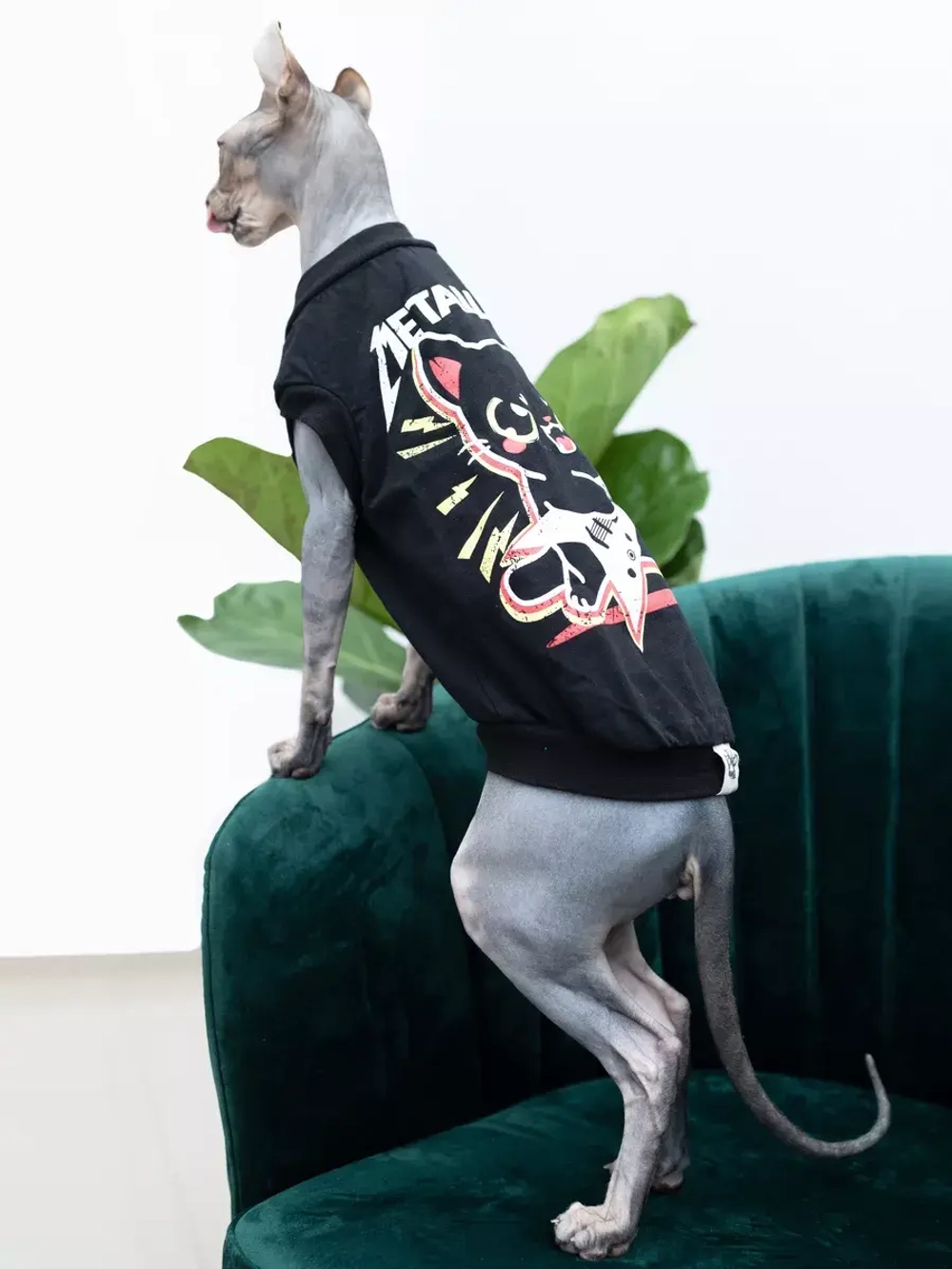 Одежда для кошек сфинкс