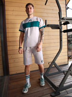 Шорты спортивные комбинированные Город Горький серые серый