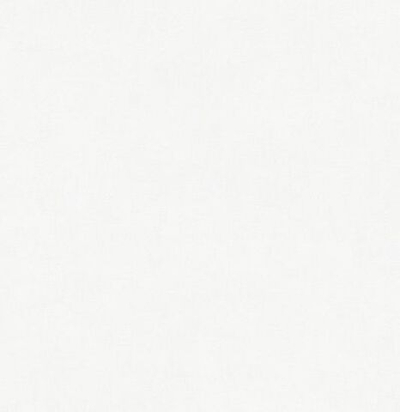 Обои однотонные флизелиновые PRO306