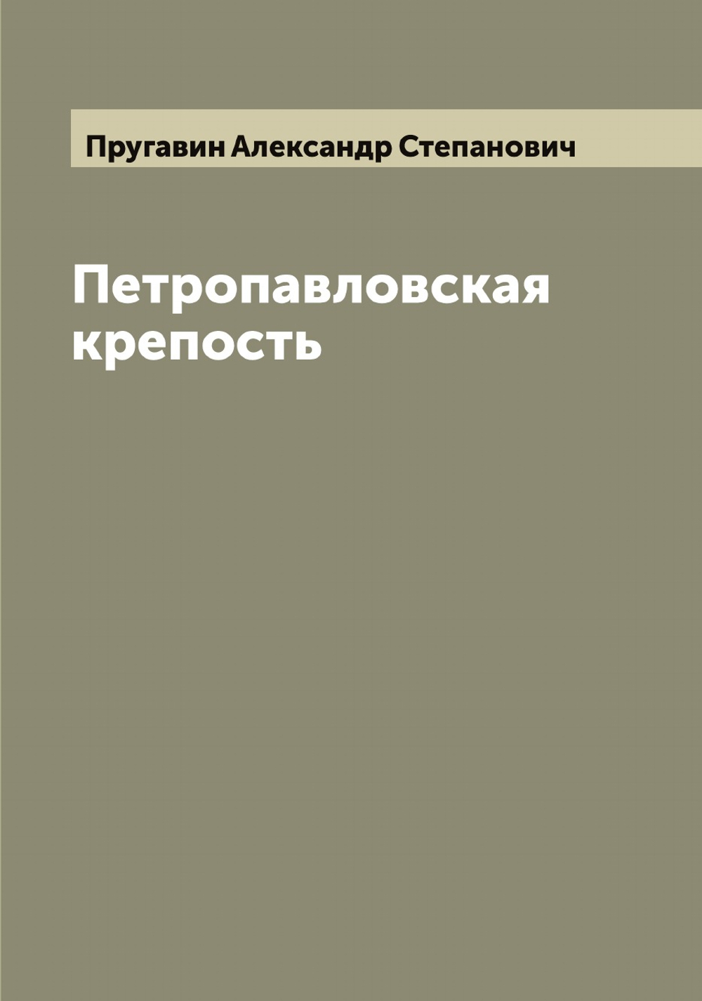 Петропавловская крепость | Пругавин Александр Степанович