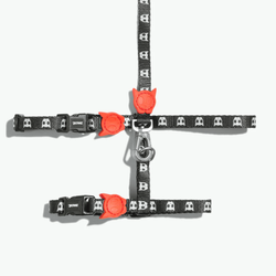 Шлейка+поводок SKULL 2.0 Zee.Cat