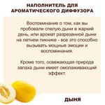 ДЫНЯ - Наполнитель для ароматического диффузора