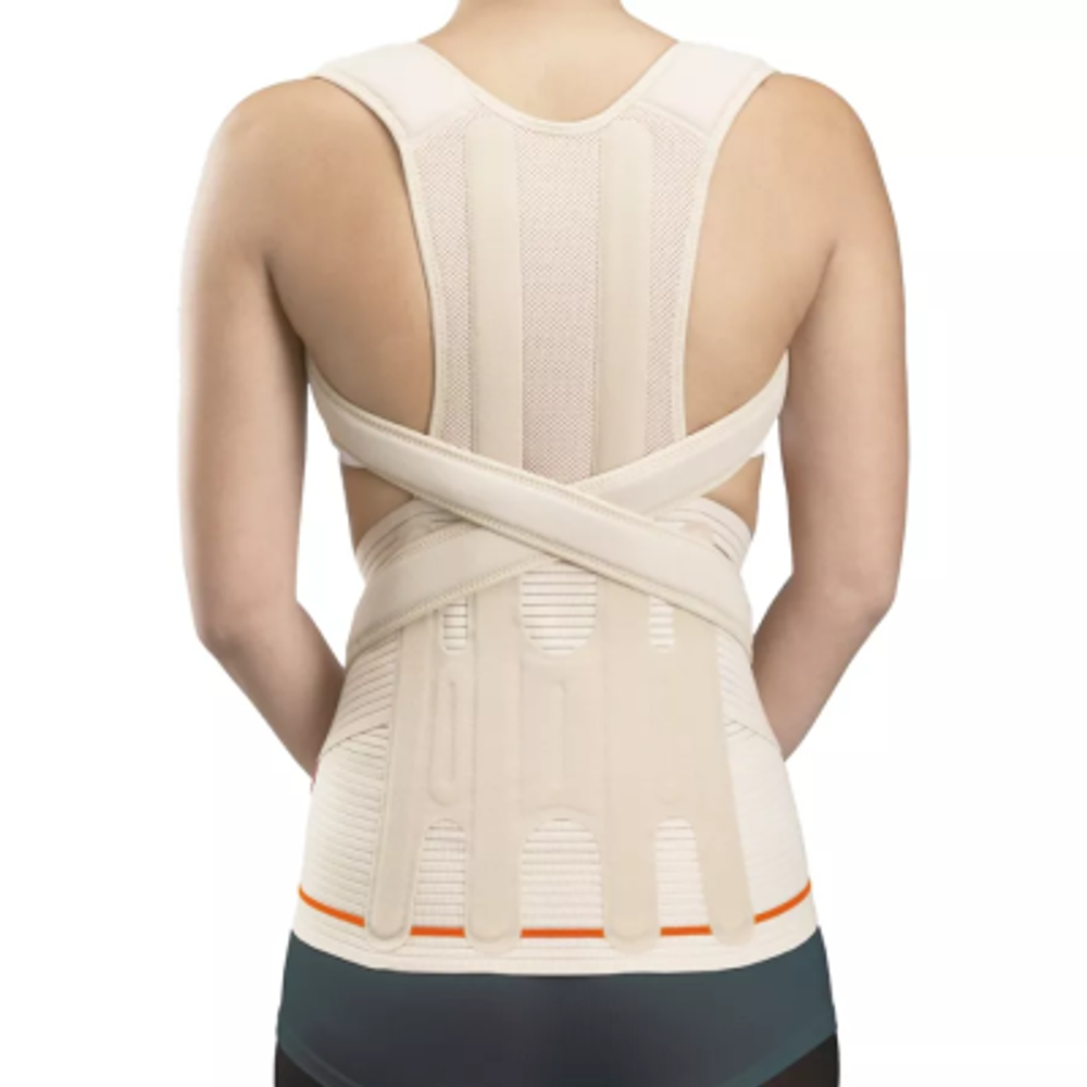 reklinator-poyasnichno-kresttsovyy-poluzhestkiy-ev-203-uni