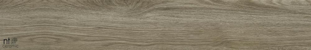 NT Ceramic Wood Forest 20x120