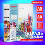 Тетрадь на кольцах А5 (180х220 мм) 80 листов под кожу клетка BRAUBERG VISTA Travel (2 штуки в упаковке)