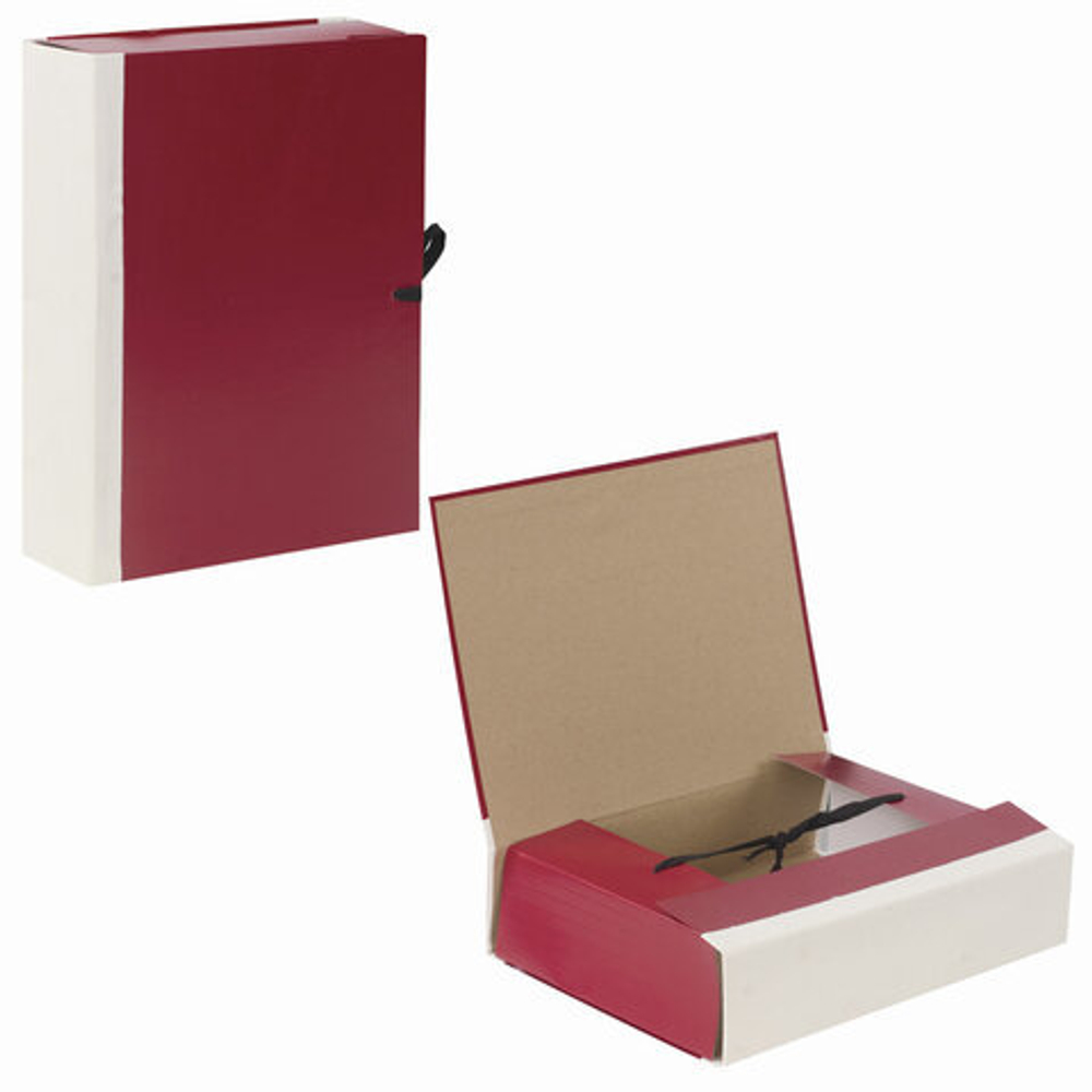 Папка для бумаг архивная А4 (225х310 мм), 80 мм, 4 завязки, бумвинил, корешок - коленкор, 123200