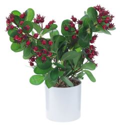 GAEM Цветочная композиция "Клюква", L19 W22 H36 см