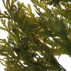 GAEM Ветка искусственная, L20 W11 H37 см, 3в.