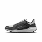 Мужские кроссовки Nike Air Zoom Pegasus 41 Gore-Tex 'Summit White Iron Grey' FQ1356-002