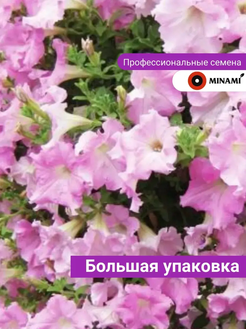Петуния Даймонд Перли Шейдз F1 ампельная