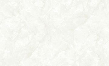 Обои винил на флиз.осн Erismann E-Design 60840-02