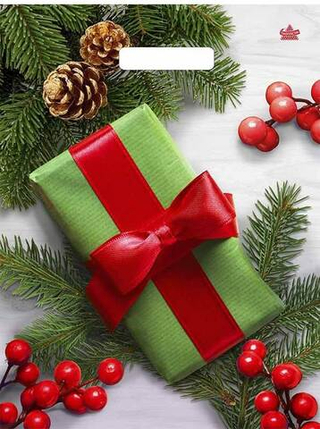 Пакет ВУР 31*40см НГ 60мкм Калина в подарок 1 шт