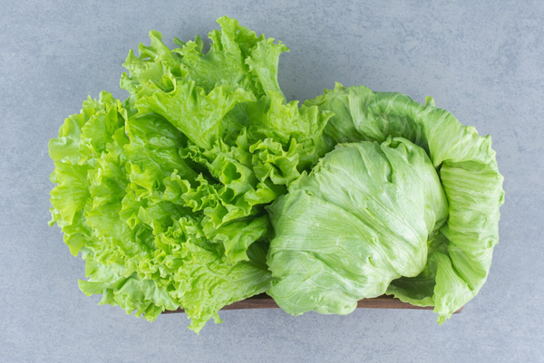 Популярные семена салата, которые стоит начать выращивать на своем огороде