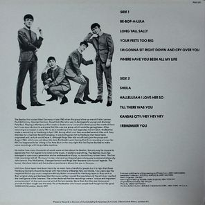 The Beatles / Rare Beatles (LP)