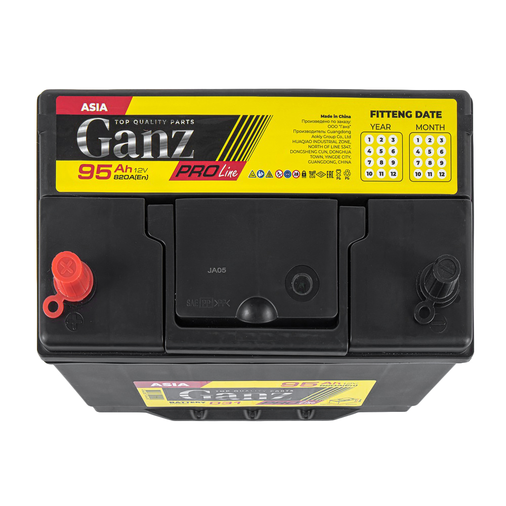Аккумулятор GANZ PRO-Line JIS 95 А/ч прямой L+ 304x173x220 D31 EN 820 А