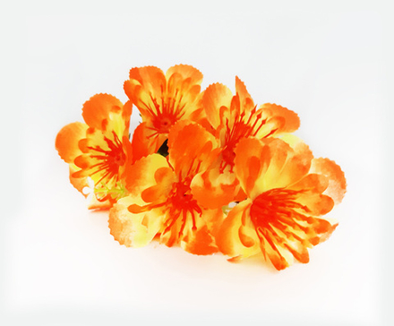 Б0049 Букет георгинов 6 голов