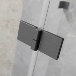 Душевая дверь Radaway Essenza Pro Brushed Nickel DWJ 120 стекло прозрачное/профиль брашированная оружейная сталь