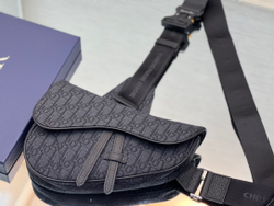 Christian Dior Saddle 26 cm