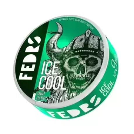 FEDRS ICE COOL №9 MINT HARD (65 МГ) - МЯТА