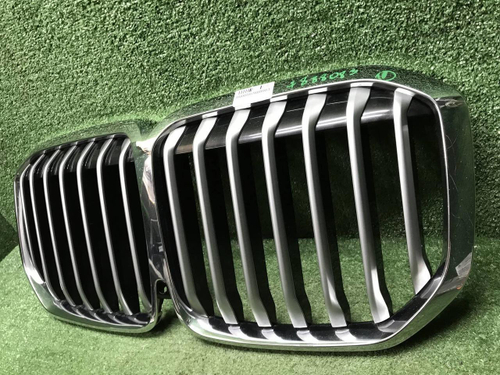 Решетка радиатора BMW X7 G07 (2019-2022)