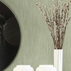 Equinox / Magic Flowers