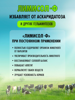 Соль для животных Лизунец антигельминтный Лимисол Ф