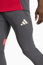 Штаны adidas Liverpool FC 25/26 Competition Training - серый