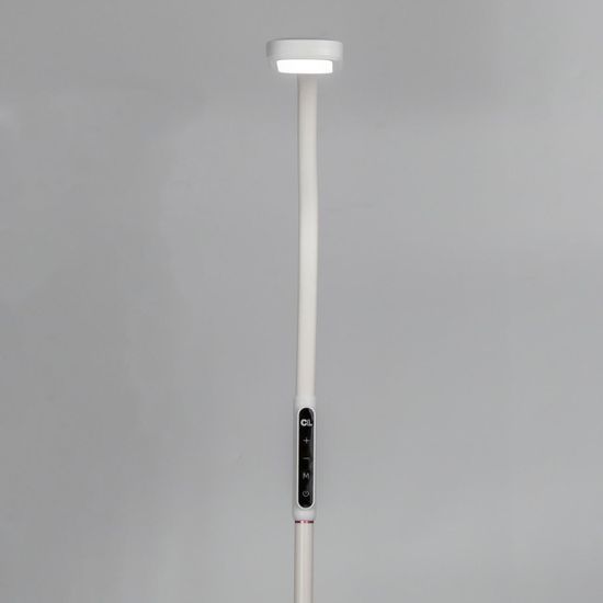 CL804020 Марк Белый Св-к Торшер