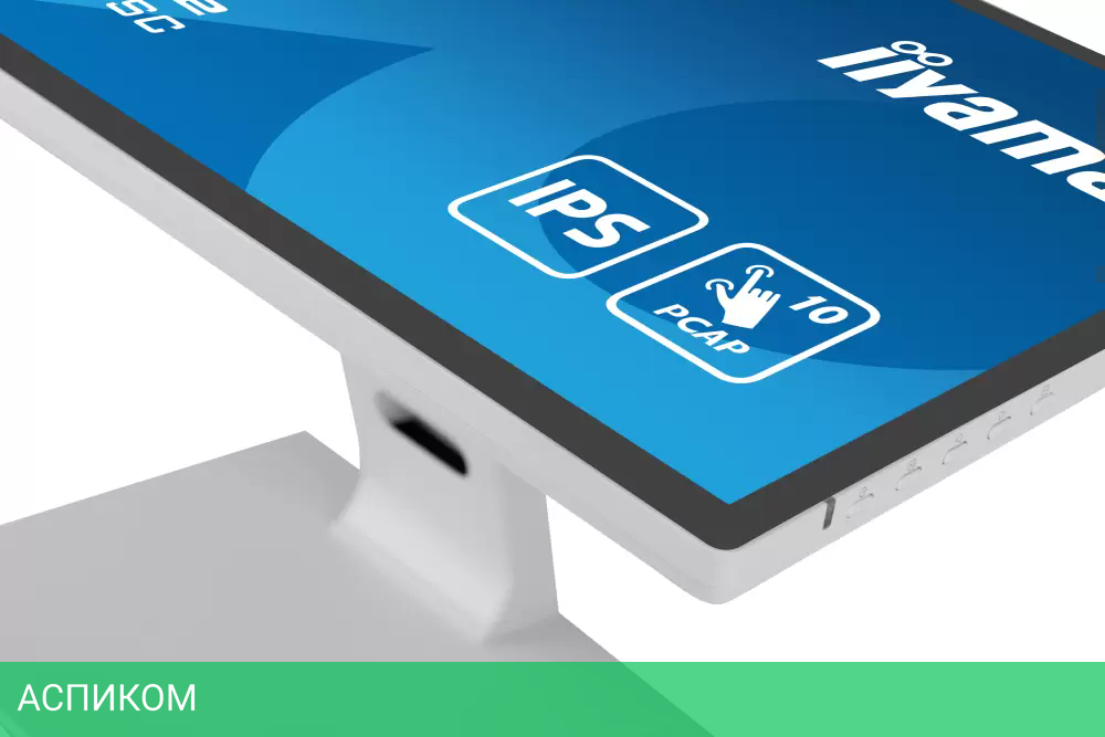 Монитор Iiyama ProLite T2452MSC-W1