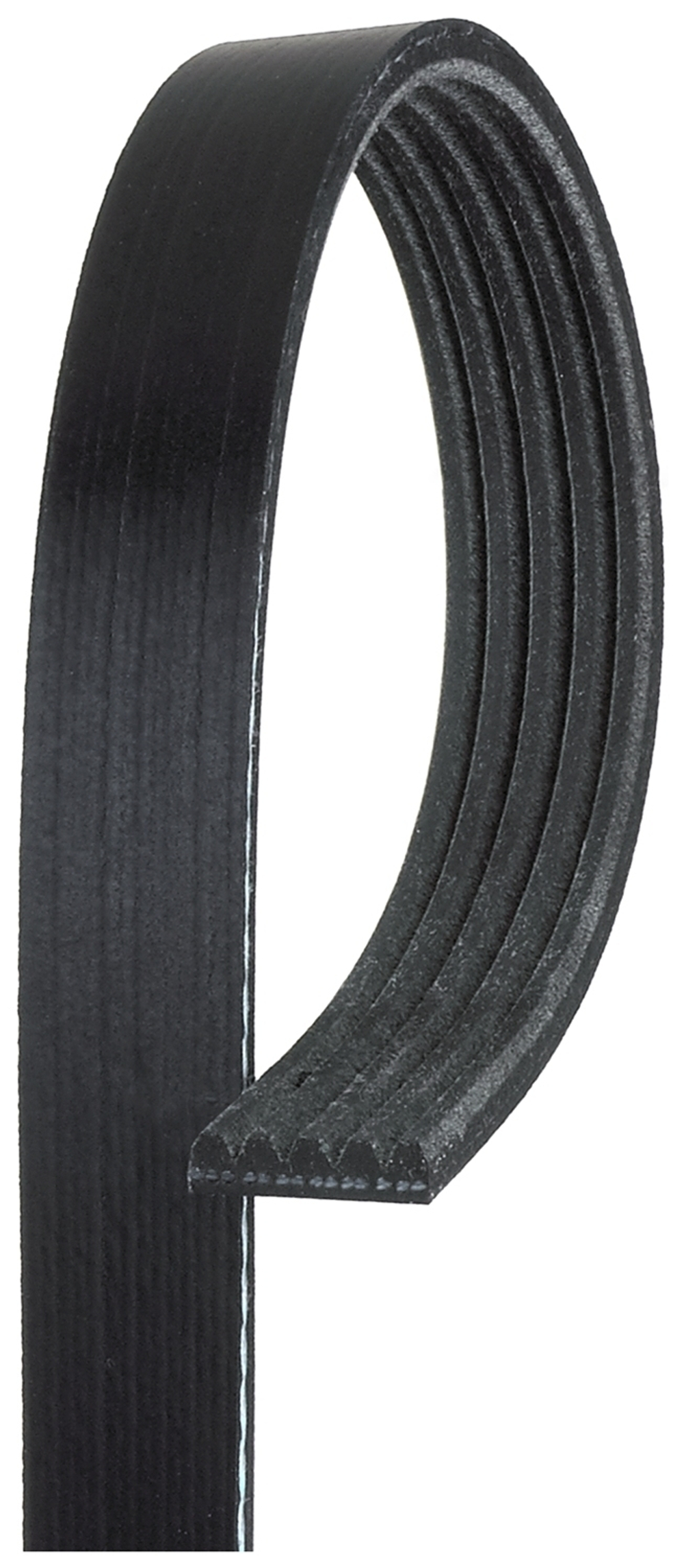 GATES - 5PK903-GAT - V-Ribbed Belt
