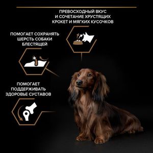 Сухой корм Pro Plan DuoDelice для взрослых собак мелких и карликовых пород с превосходным вкусом и двойной текстурой гранул с говядиной
