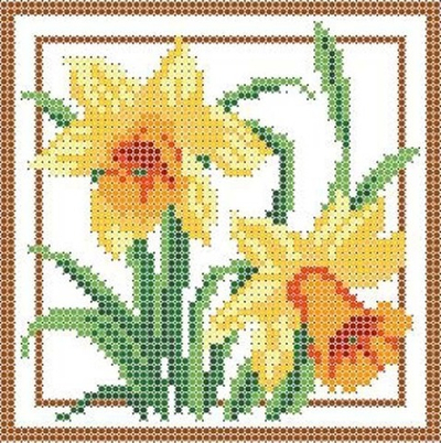 Г-013 Нарциссы