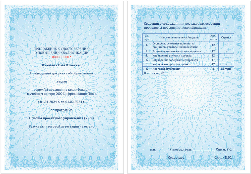Основы проектного управления