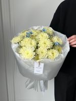 Букет из хризантемы в сливочном оттенке и оксипеталума