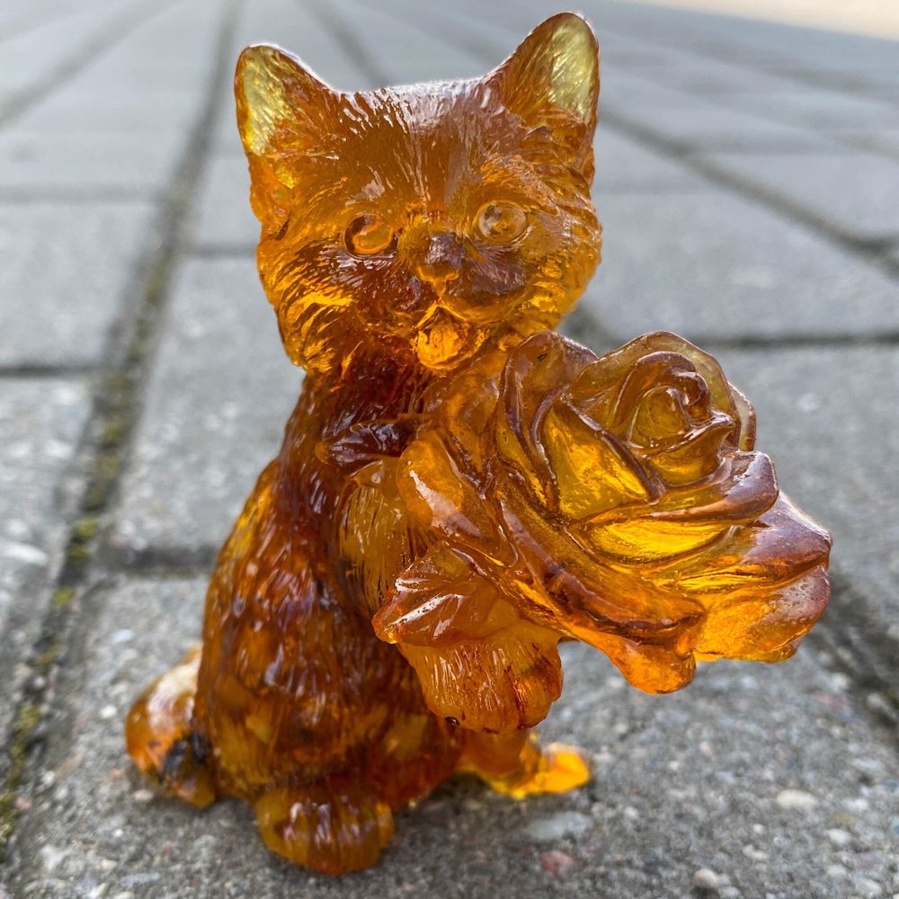 Кот с розочкой