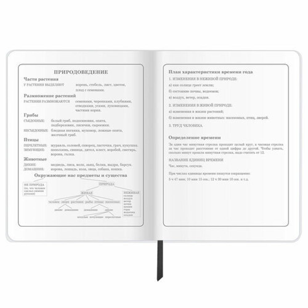 Дневник 1-4 класс 48 л., кожзам (гибкая), печать, фольга, ЮНЛАНДИЯ, "Football", 106159