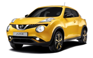 Багажник на крышу Nissan Juke 2010-2019 за дверной проем