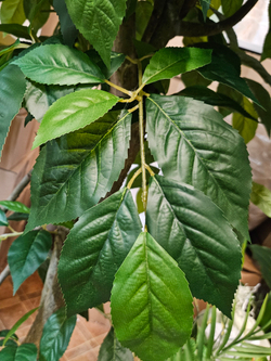 Дерево Яблоня 280см в кашпо