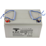 Аккумулятор RuTrike 6-EVF-100 (AGM)