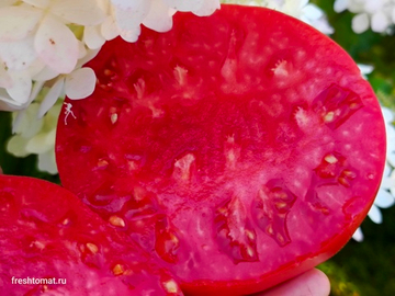 Бычье сердце Минусинское от Щербининой сорт томата