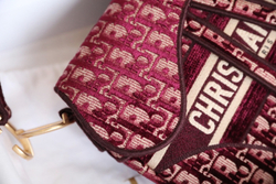 Christian Dior Saddle Bag 25 cm