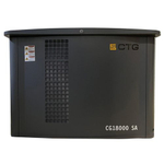 Газовый генератор CTG CG18000SA с АВР