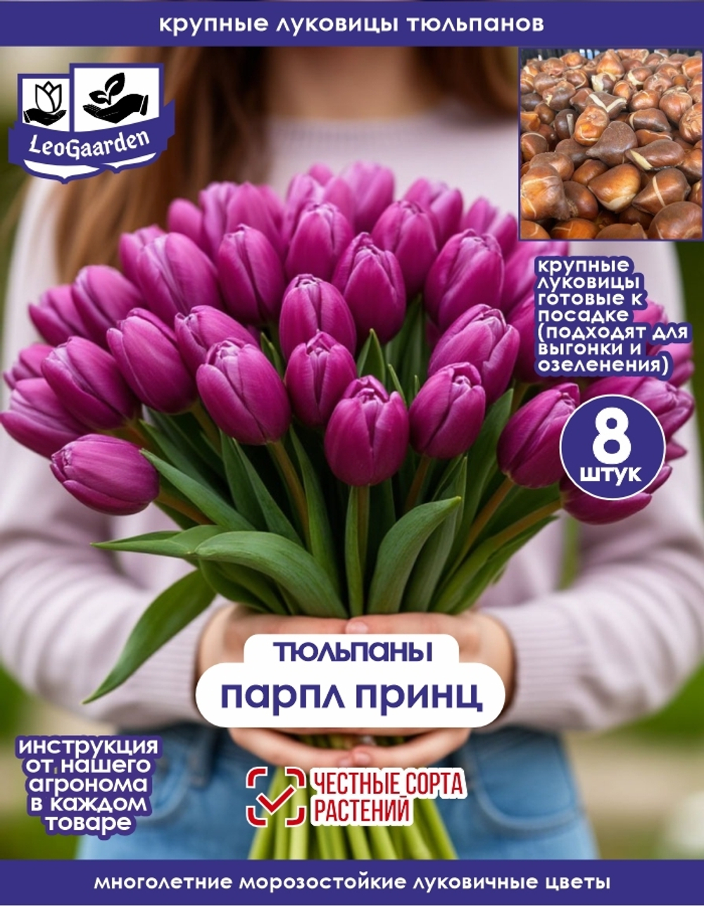 Тюльпан Луковица, Парпл Принц, 8 шт