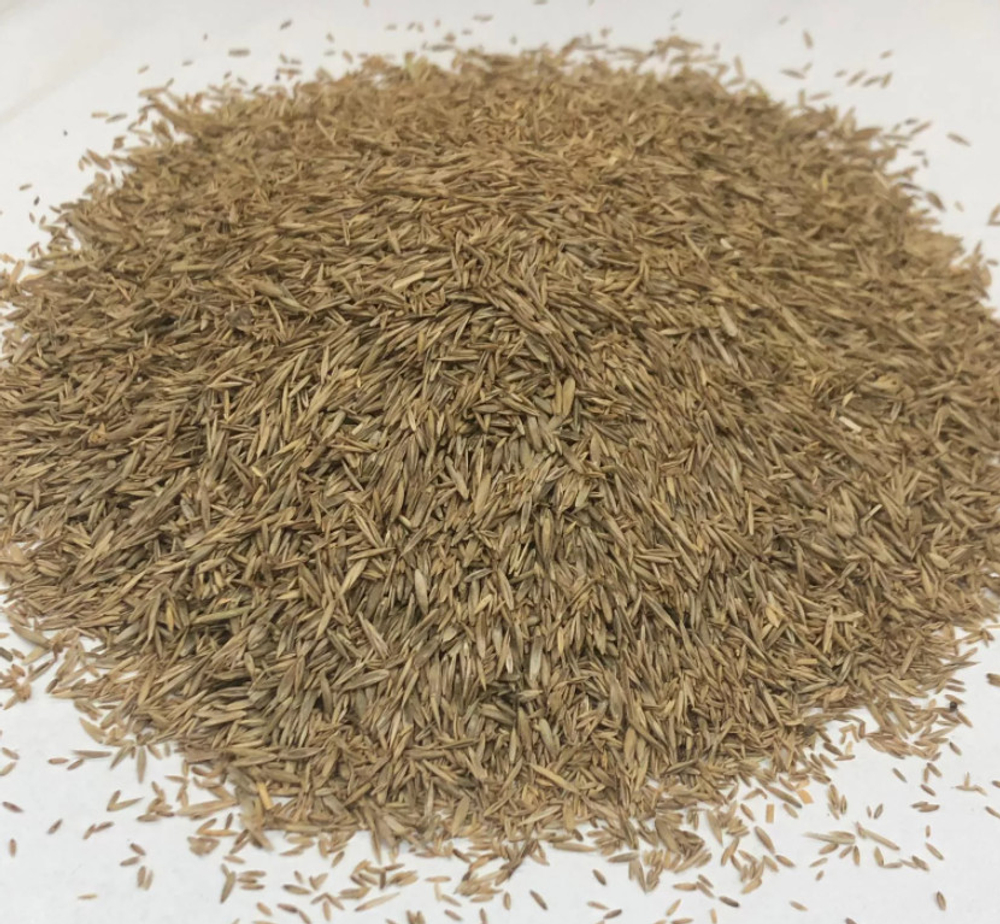 Семена мятлика лугового 300г.