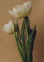 Кольцо Love in биколор