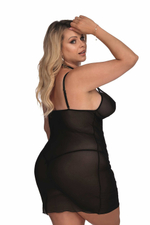 Stelline Gorgeous+