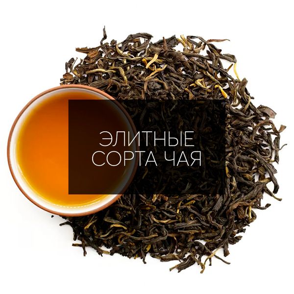 Элитные сорта чая: Путешествие в мир изысканных вкусов