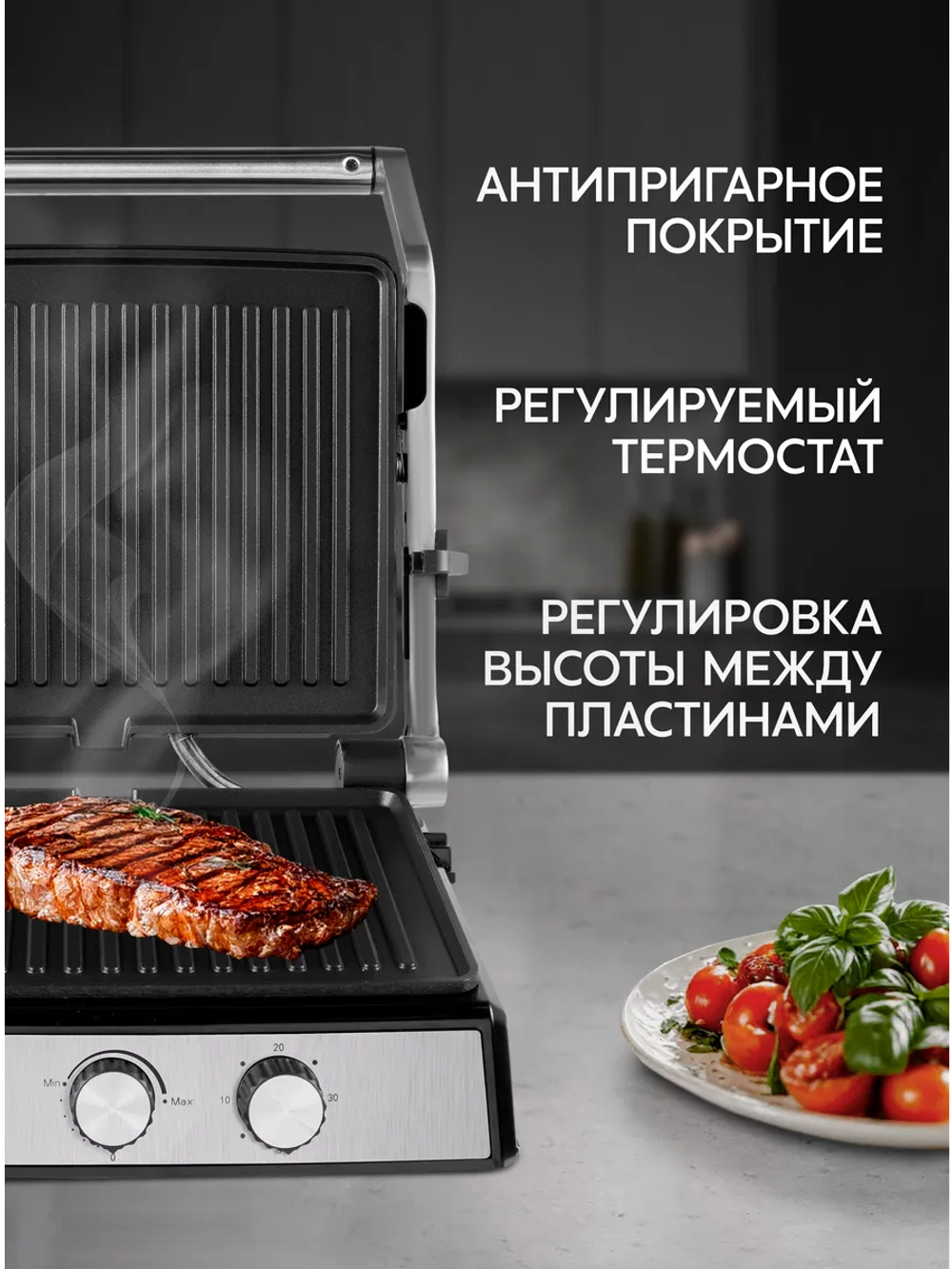 Электрогриль OASIS GR-1NT