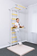 ROMANA Dop2 Брусья разборные навесные (желтый)